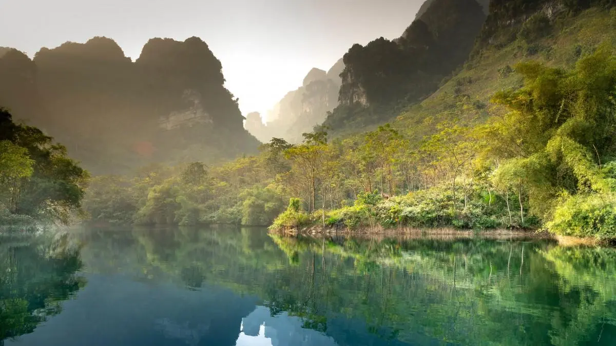 智能智能系统智能